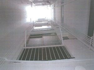 imagen2